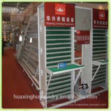 battery broiler equipment of poultry equipment